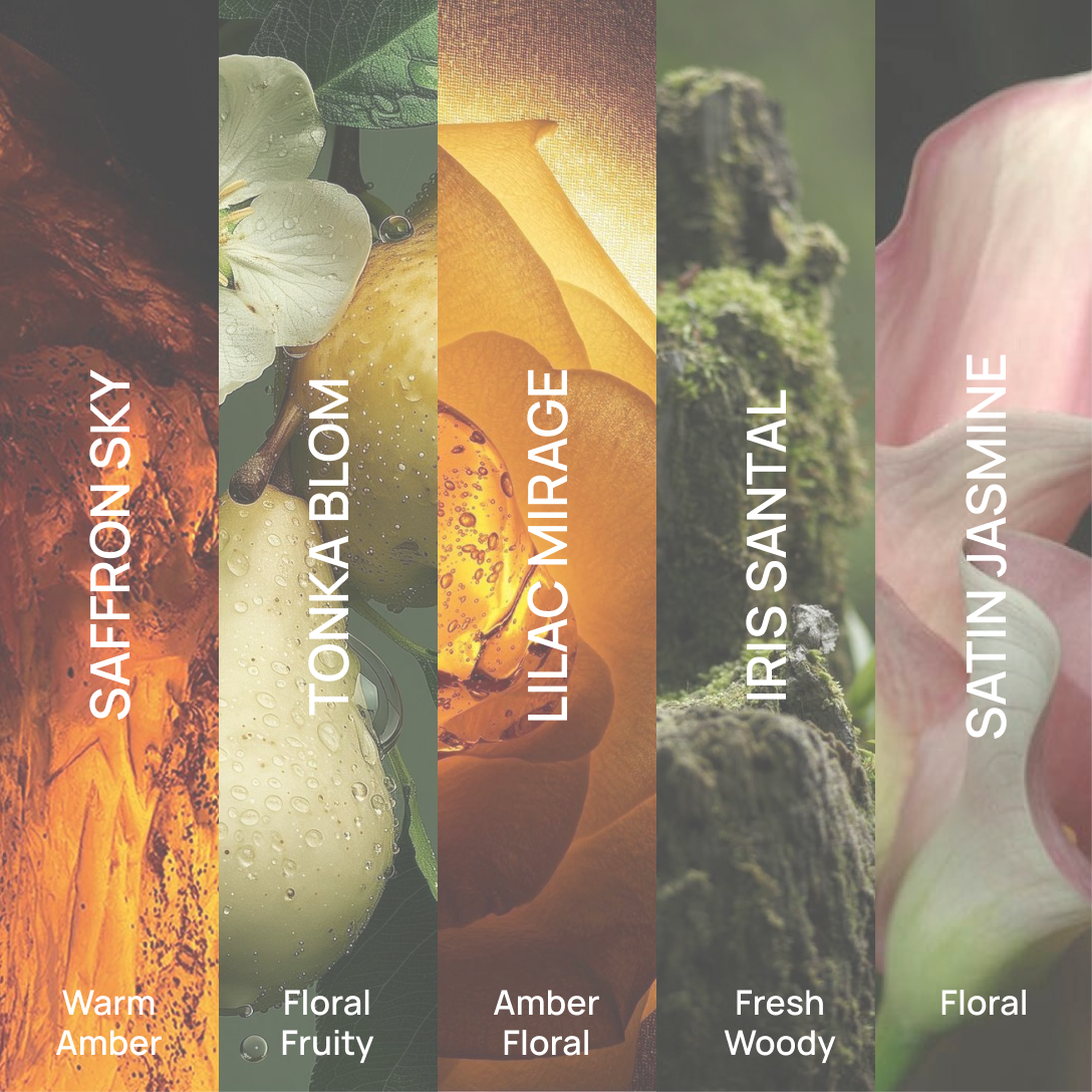 Discovery Set Female