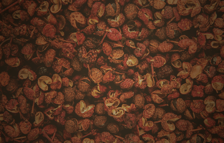  Sichuan Pepper