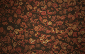  Sichuan Pepper